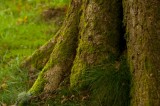 My Gallery (15/41)