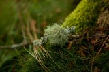 My Gallery (16/41)