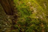 My Gallery (18/41)