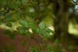 My Gallery (19/41)