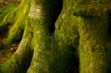 My Gallery (24/41)