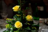 My Gallery (15/39)