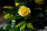 My Gallery (17/39)