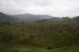 My Gallery (3/173)