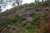 My Gallery (6/173)