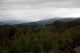 My Gallery (7/173)