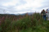My Gallery (9/173)