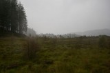 My Gallery (12/173)
