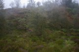 My Gallery (13/173)