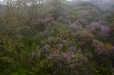My Gallery (14/173)