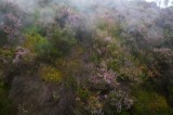 My Gallery (17/173)