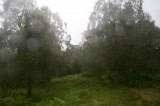 My Gallery (19/173)