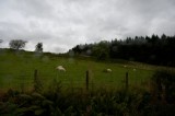 My Gallery (20/173)