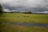 My Gallery (21/173)