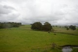 My Gallery (22/173)