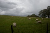 My Gallery (25/173)