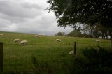My Gallery (26/173)