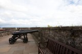 My Gallery (37/173)