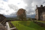 My Gallery (38/173)