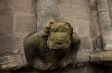 My Gallery (47/173)