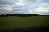 My Gallery (85/173)