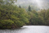 My Gallery (87/173)