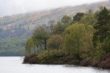 My Gallery (127/173)