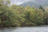 My Gallery (128/173)