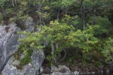 My Gallery (133/173)