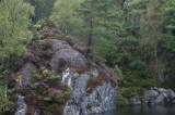 My Gallery (135/173)