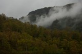 My Gallery (138/173)