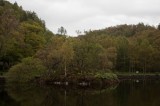 My Gallery (143/173)