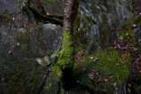 My Gallery (148/173)