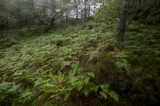 My Gallery (158/173)