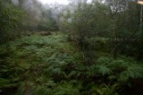 My Gallery (160/173)
