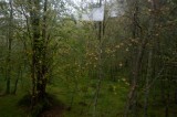 My Gallery (161/173)