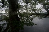 My Gallery (164/173)