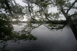 My Gallery (165/173)