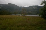 My Gallery (170/173)