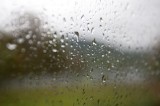 My Gallery (172/173)