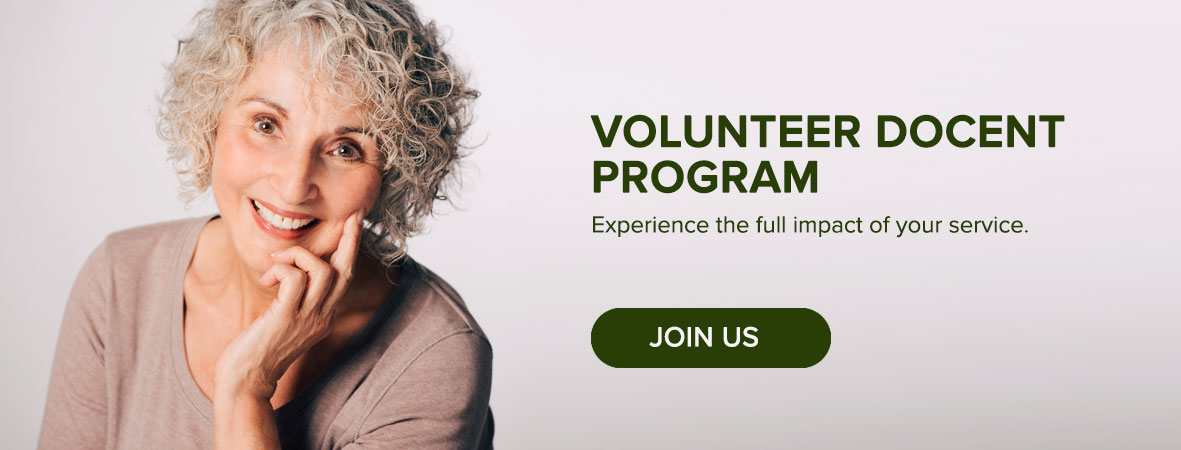 Volunteer Doncent program