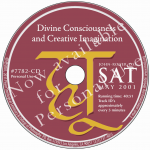 Divine Consciousness and Creative Imagination