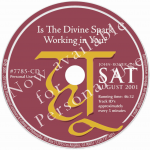 Is The Divine Spark Working In You?
